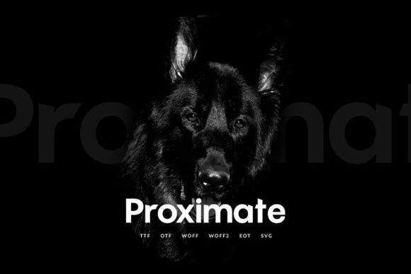 Proximate: A Bold, Natural Display Font for Editorial Design